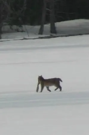 $699,900 | 3 Merrill Brook Lane, Howland, ME 04448