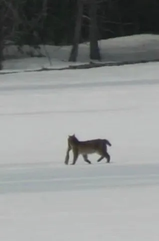 $699,900 | 3 Merrill Brook Lane, Howland, ME 04448