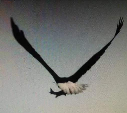 $699,900 | 3 Merrill Brook Lane, Howland, ME 04448