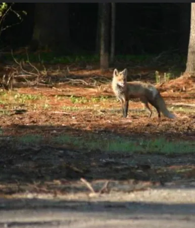 $699,900 | 3 Merrill Brook Lane, Howland, ME 04448