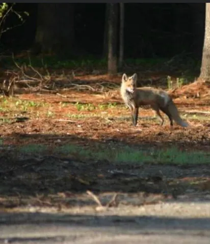 $699,900 | 3 Merrill Brook Lane, Howland, ME 04448