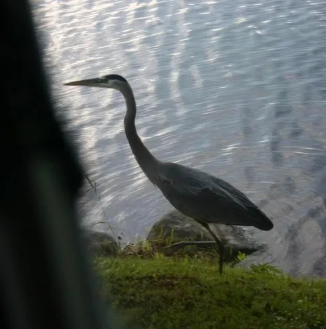 $699,900 | 3 Merrill Brook Lane, Howland, ME 04448