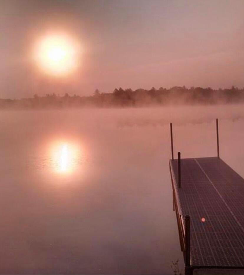 3 Merrill Brook Lane Howland, ME 04448 - Photo 71 of 77 morning mist