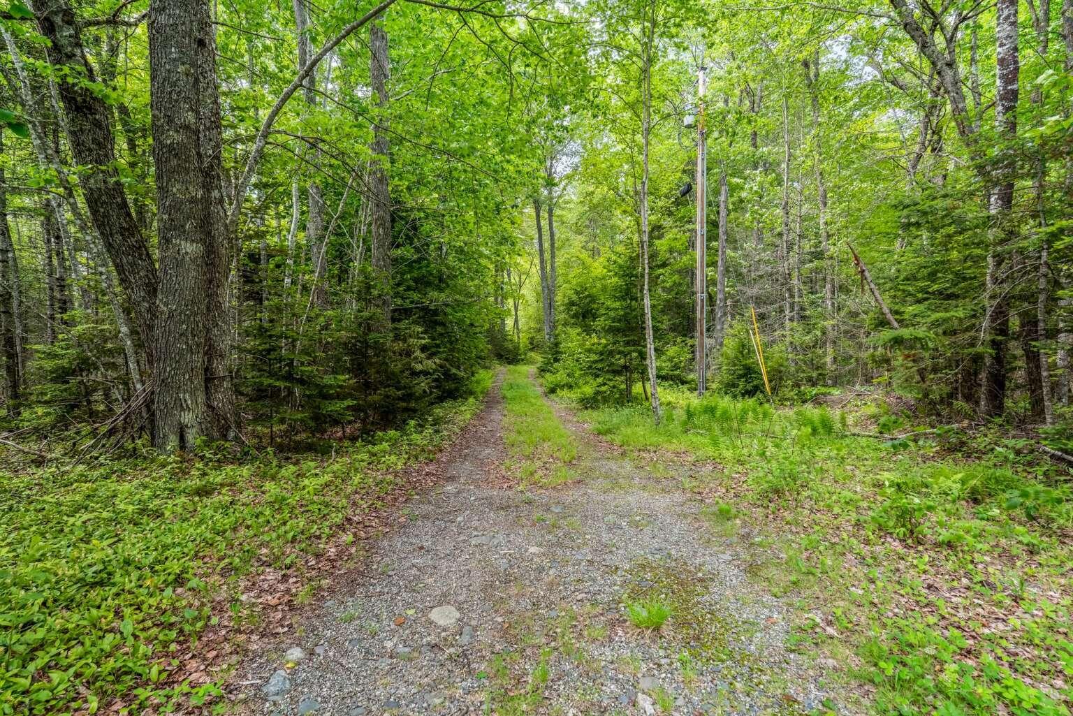 241 Tannery Brook Road Mariaville, ME 04605 - Photo 11 of 20