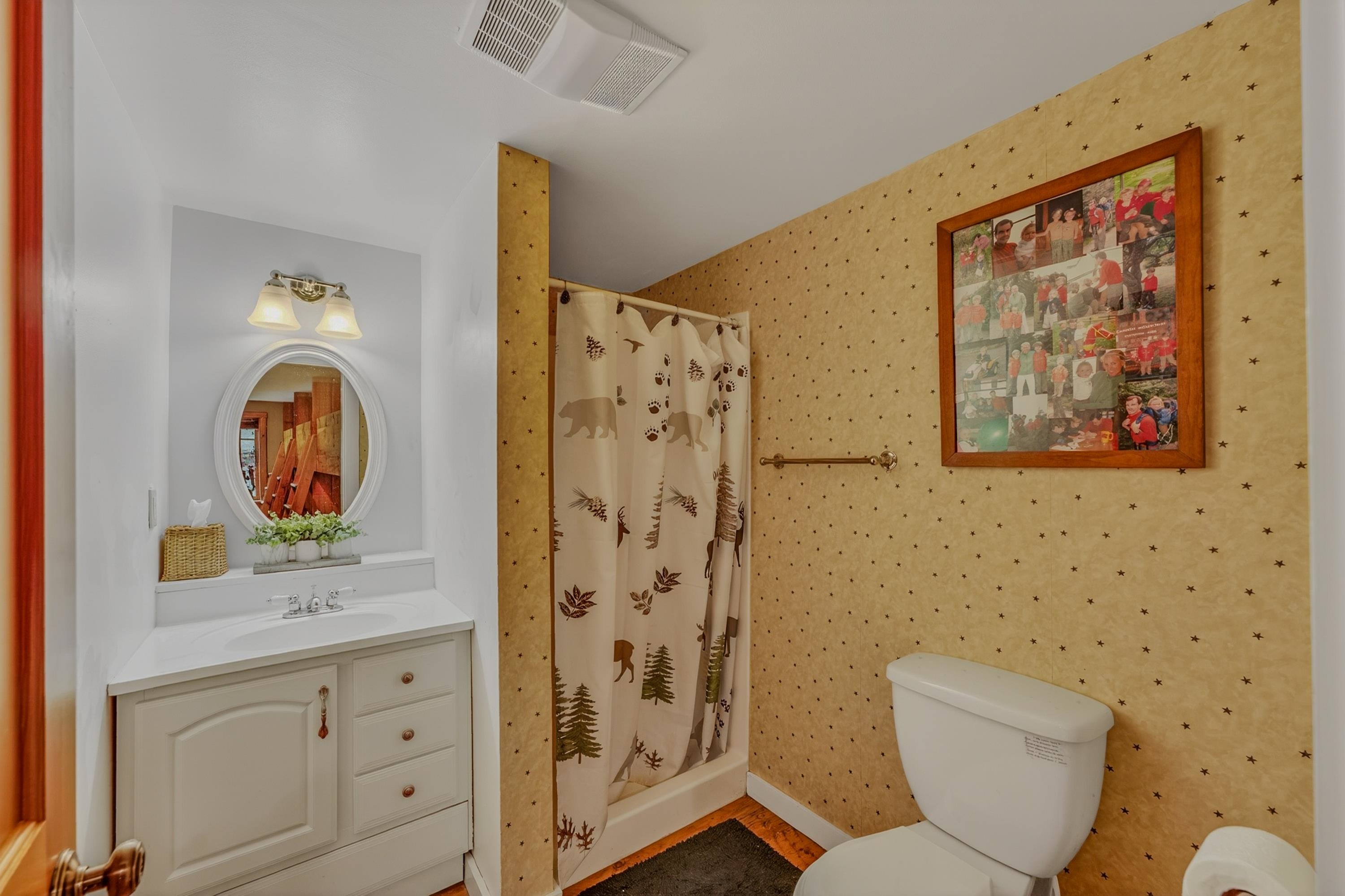 369 Reel Brook Road Easton, NH 03580 - Photo 27 of 47