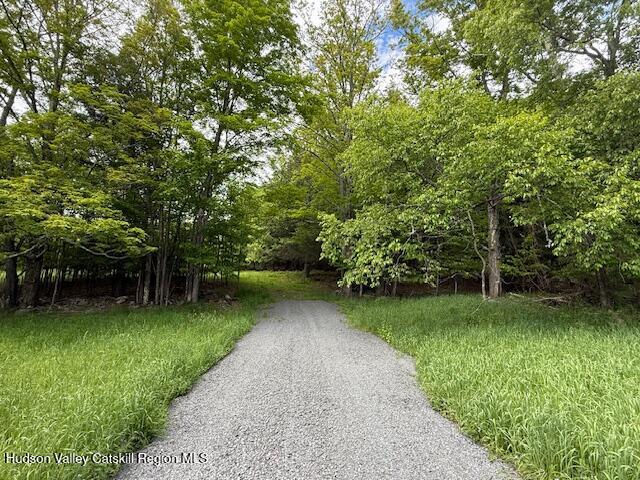 0 Van Etten Road Prattsville, NY 12468 - Photo 6 of 34 IMG_7318