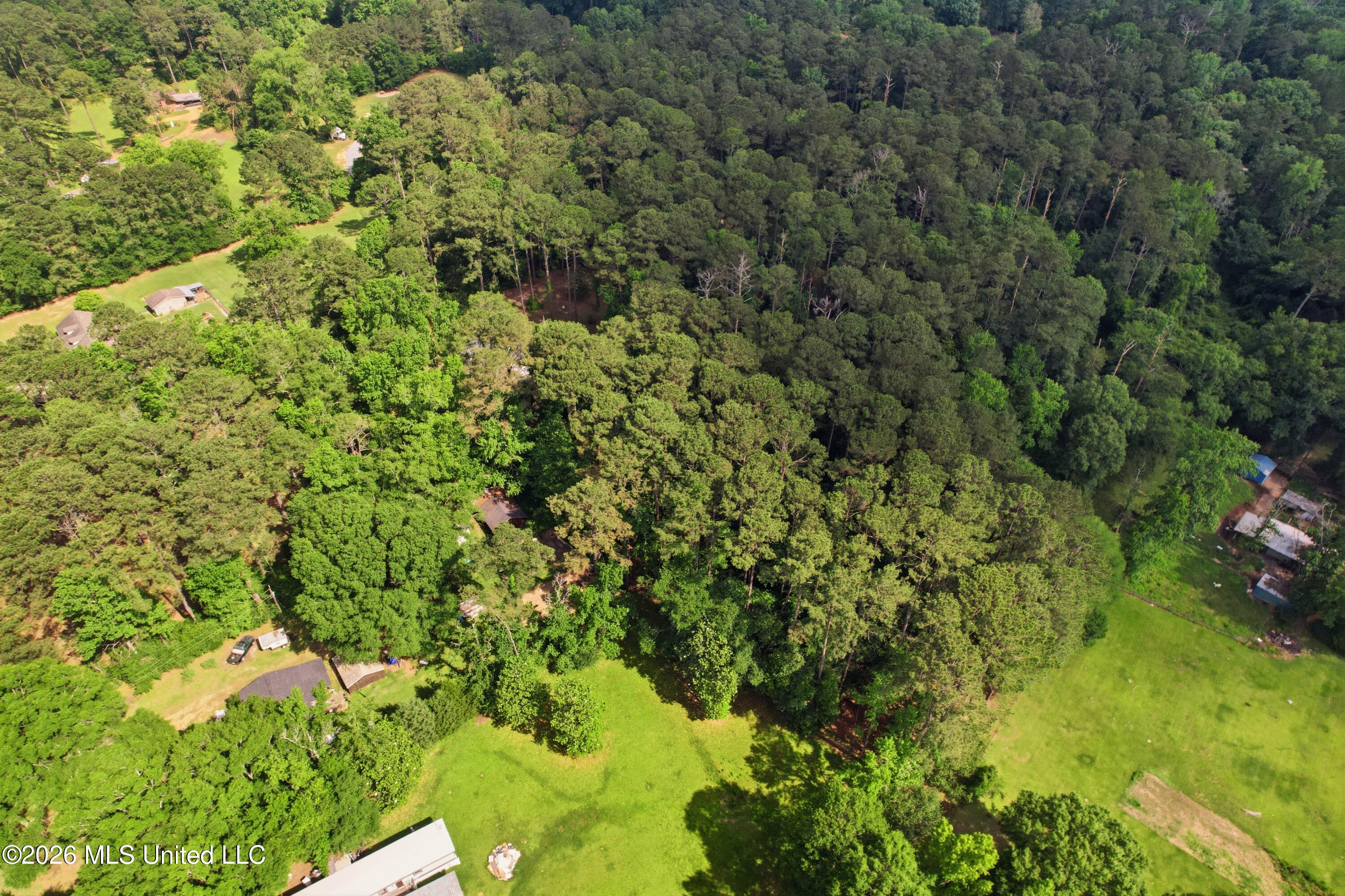 1152 Robb Street, Unit E Summit, MS 39666 - Photo 42 of 42 43_dji_0618