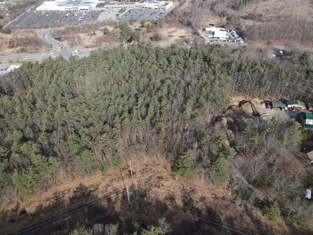 a view of a forest with a forest