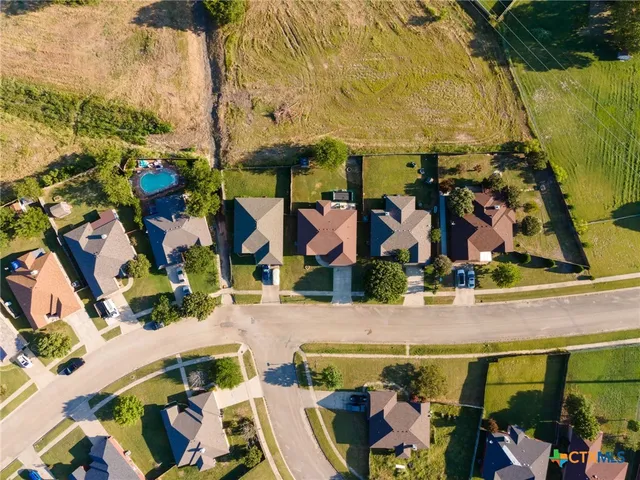 an outdoor space area with lots of palm trees