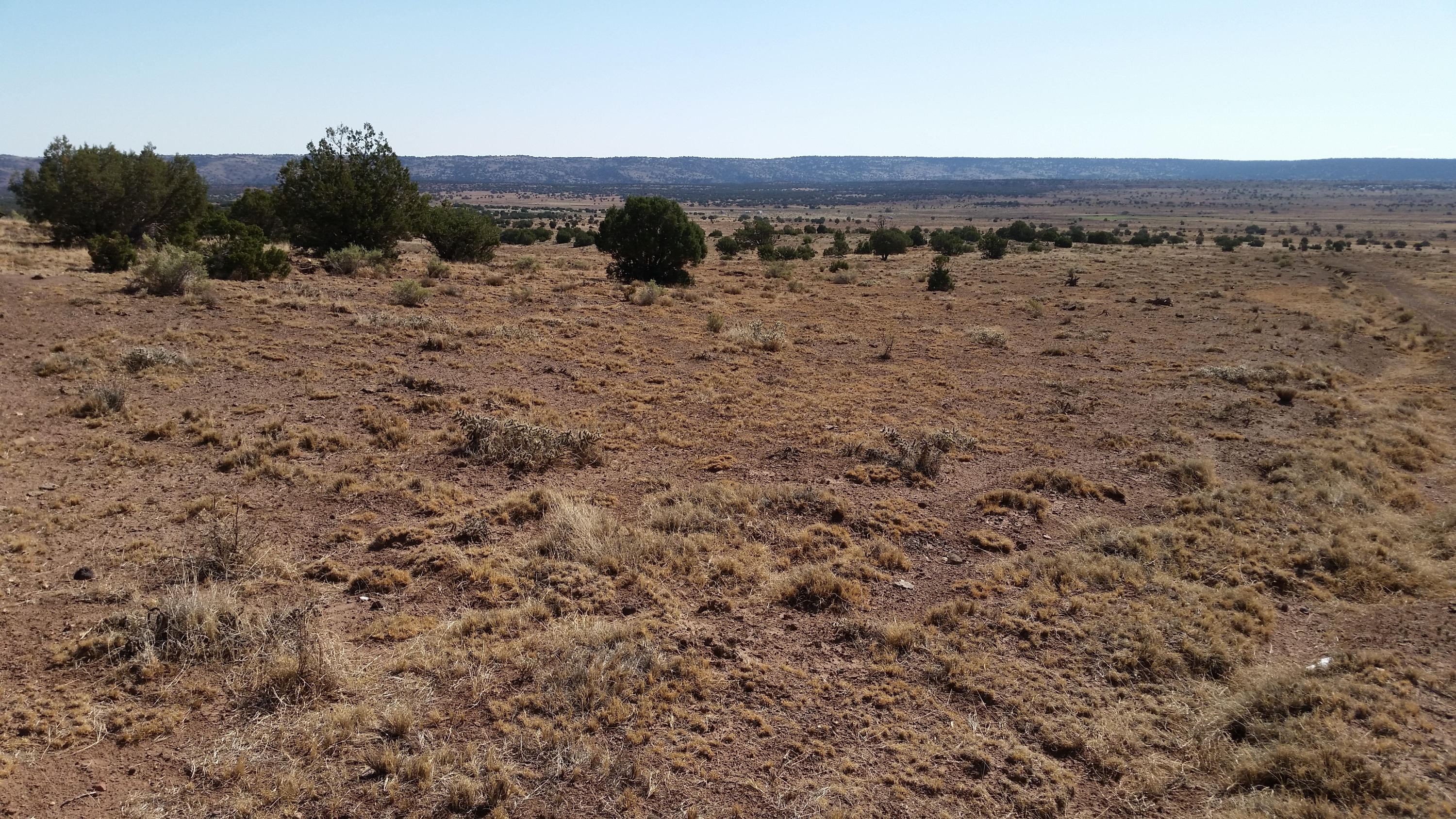 8500 Pinon Valley Ranch Concho, AZ 85924 - Photo 1 of 9