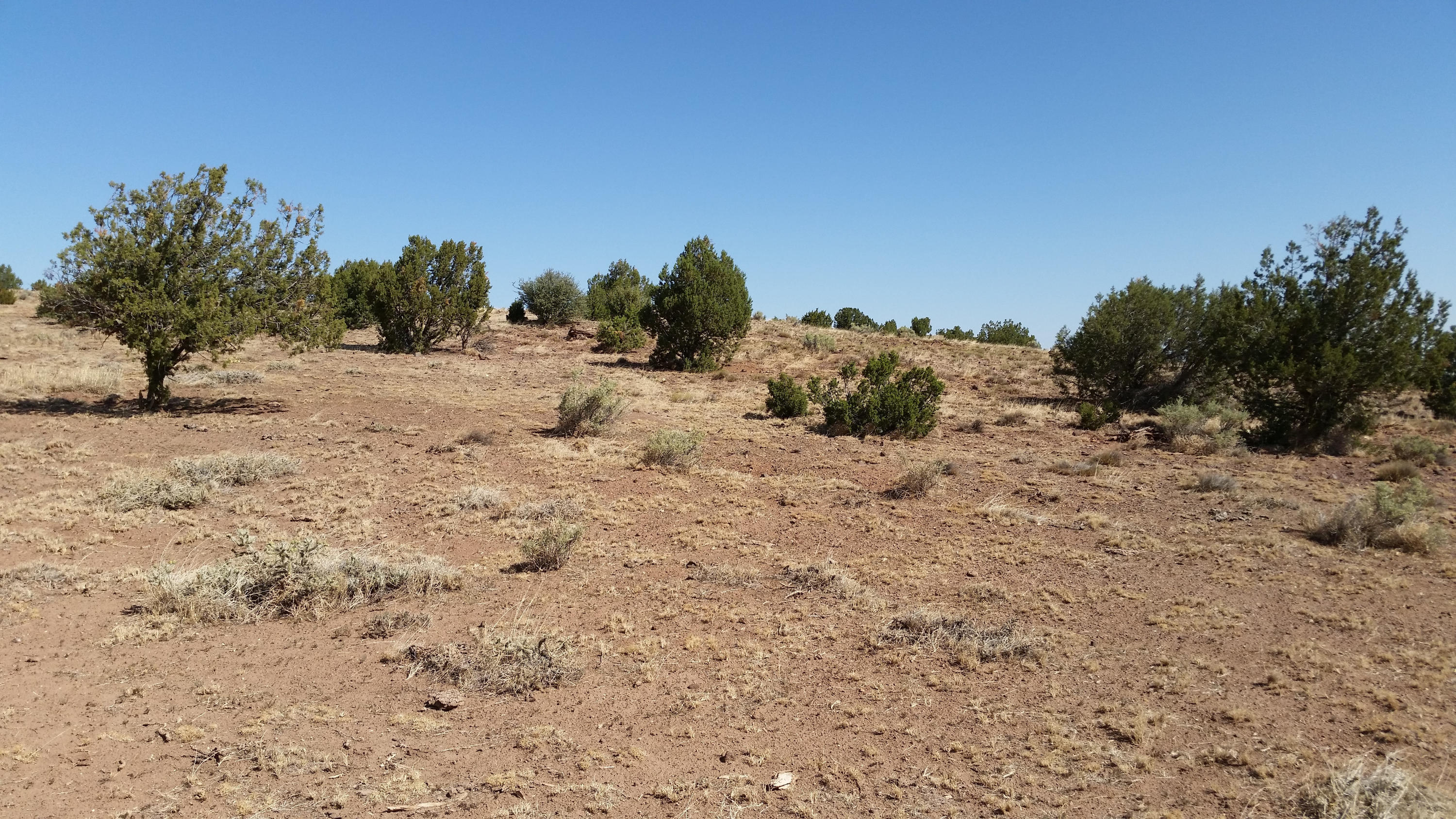 8500 Pinon Valley Ranch Concho, AZ 85924 - Photo 2 of 9