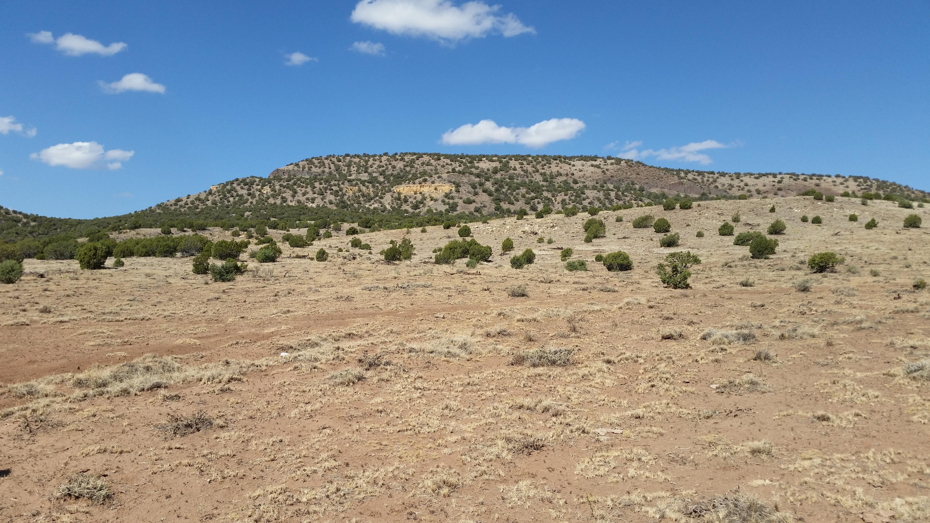 8500 Pinon Valley Ranch Concho, AZ 85924 - Photo 3 of 9
