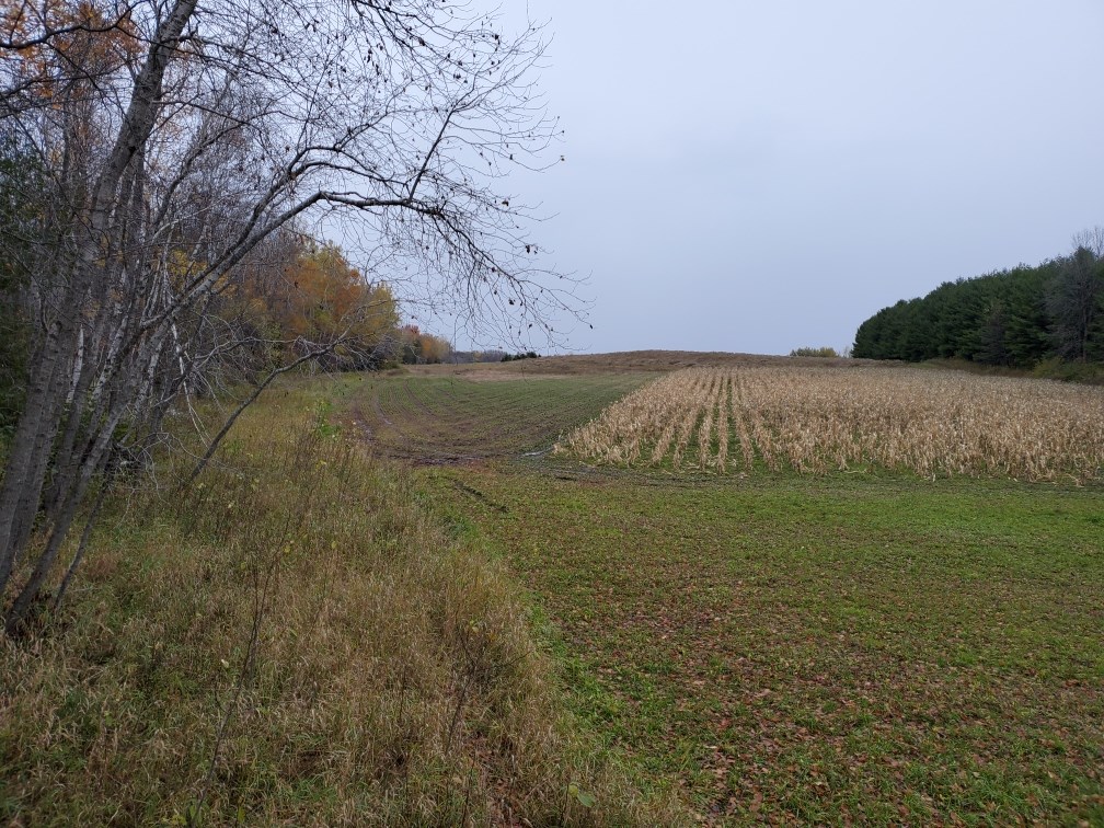 East Center Road Forestville, WI 54213 - Photo 6 of 15