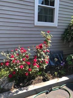 213 Townhouse Road East Waterboro, ME 04030 - Photo 122 of 127 IMG955293