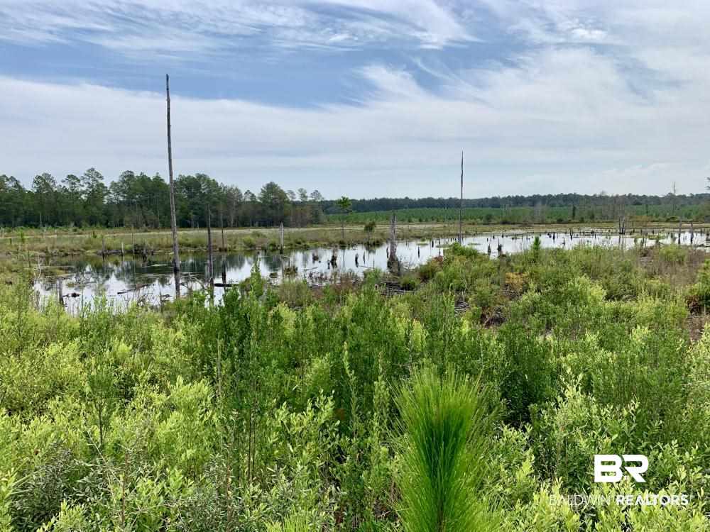 0 Country Road Mobile, AL 36608 - Photo 22 of 27