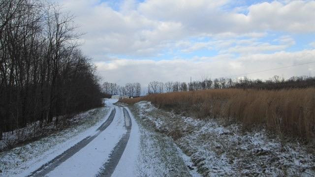1 Hester Ridge Road Wallingford, KY 41093 - Photo 3 of 4 Photo 3