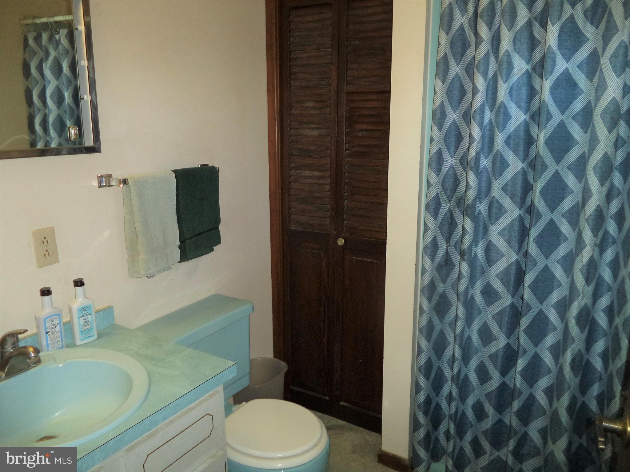 1315 Ridge Road Grantville, PA 17028 - Photo 21 of 33 Master Bath