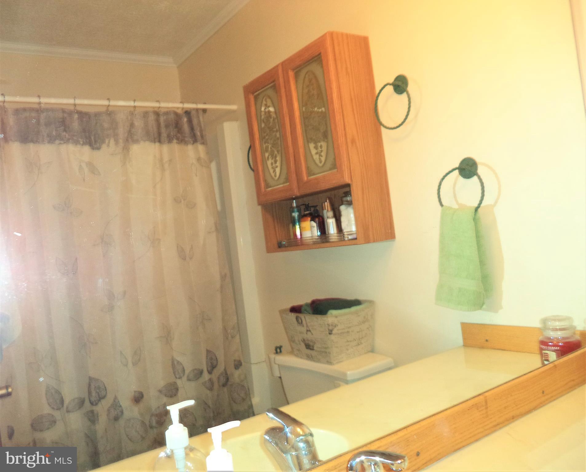 1315 Ridge Road Grantville, PA 17028 - Photo 25 of 33 Hall Bathroom