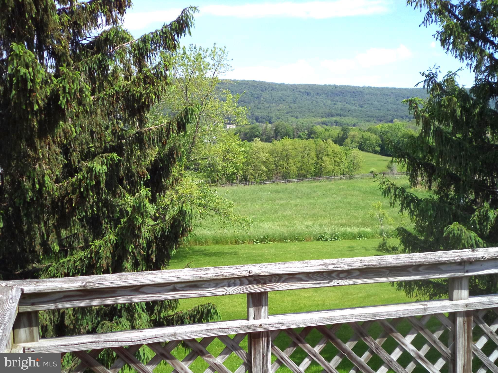 1315 Ridge Road Grantville, PA 17028 - Photo 27 of 33 Mountain View from Top Deck