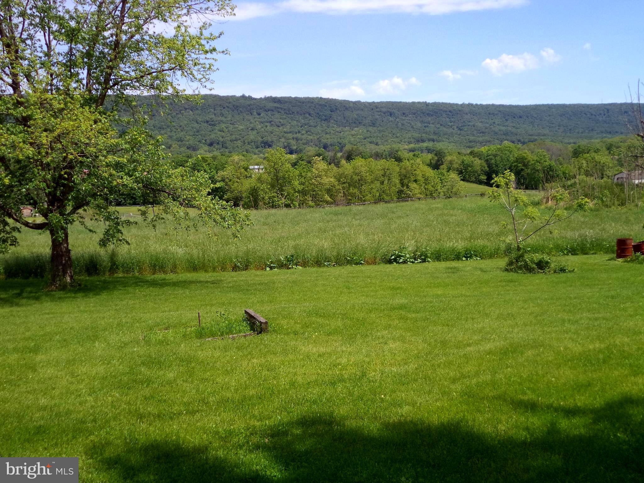 1315 Ridge Road Grantville, PA 17028 - Photo 4 of 33 Rear Yard
