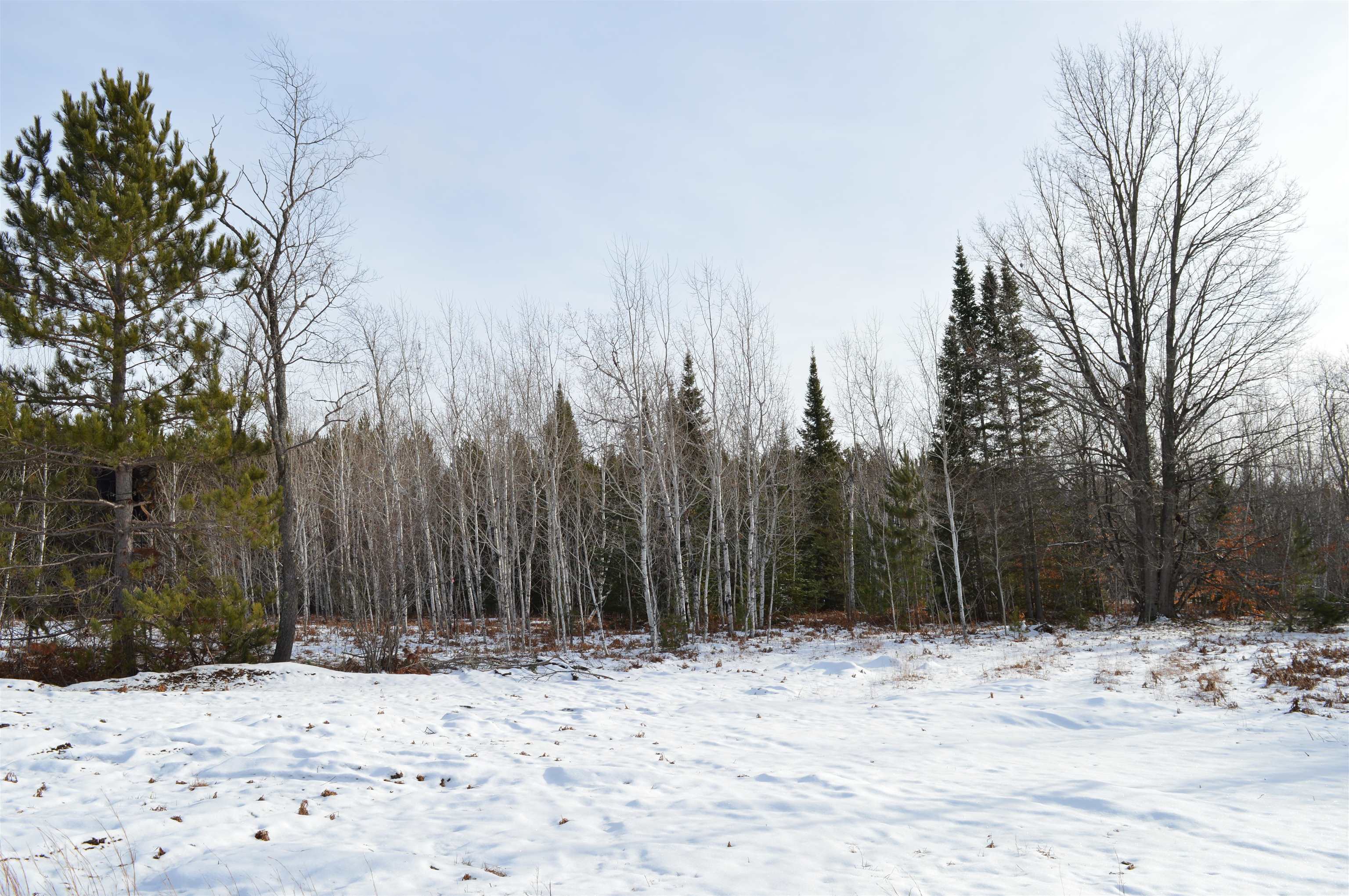 Off Wood Road Northeast Kalkaska, MI 49646 - Photo 17 of 22