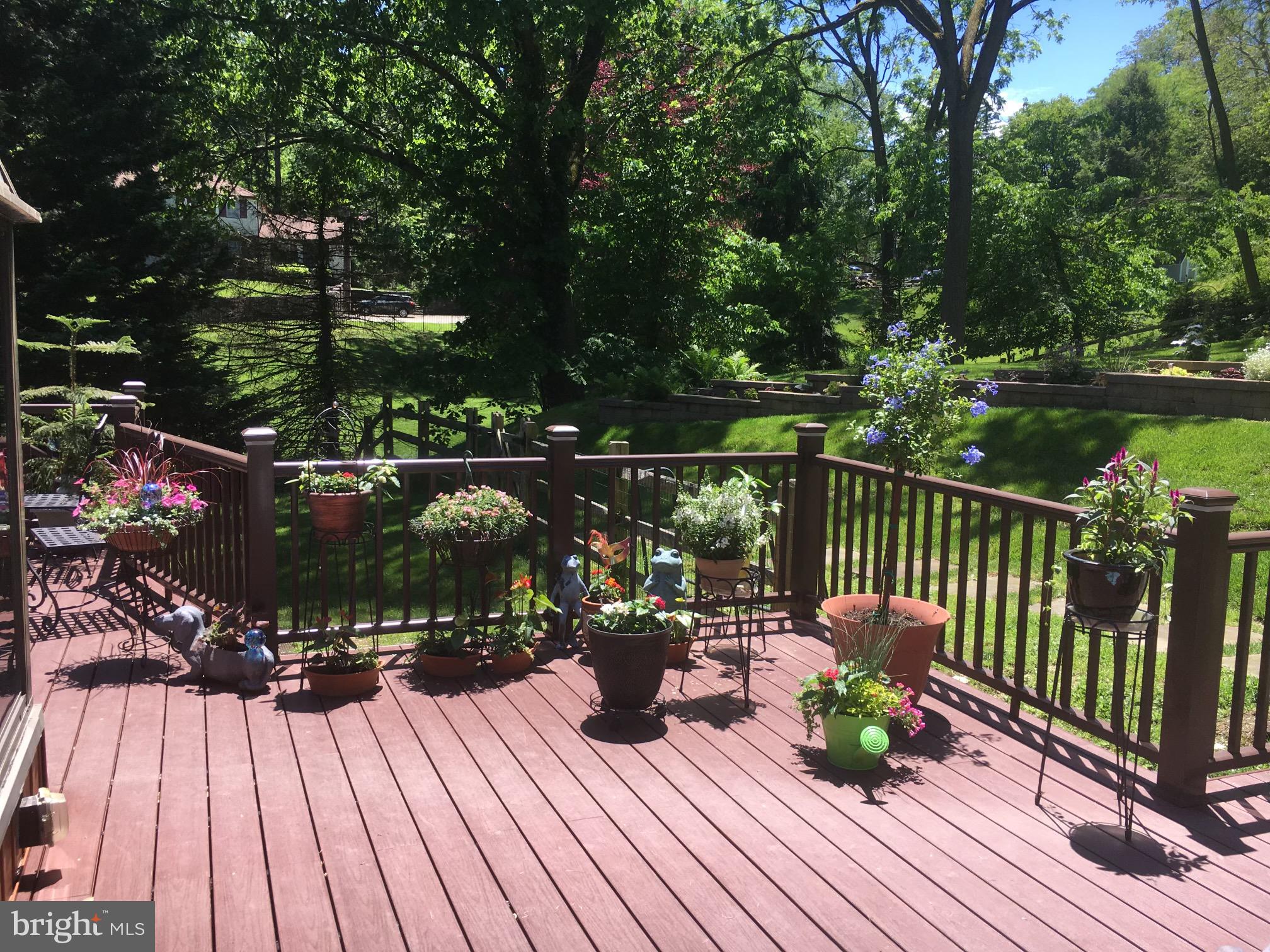 837 Old State Road Berwyn, PA 19312 - Photo 19 of 24 Spring/summer