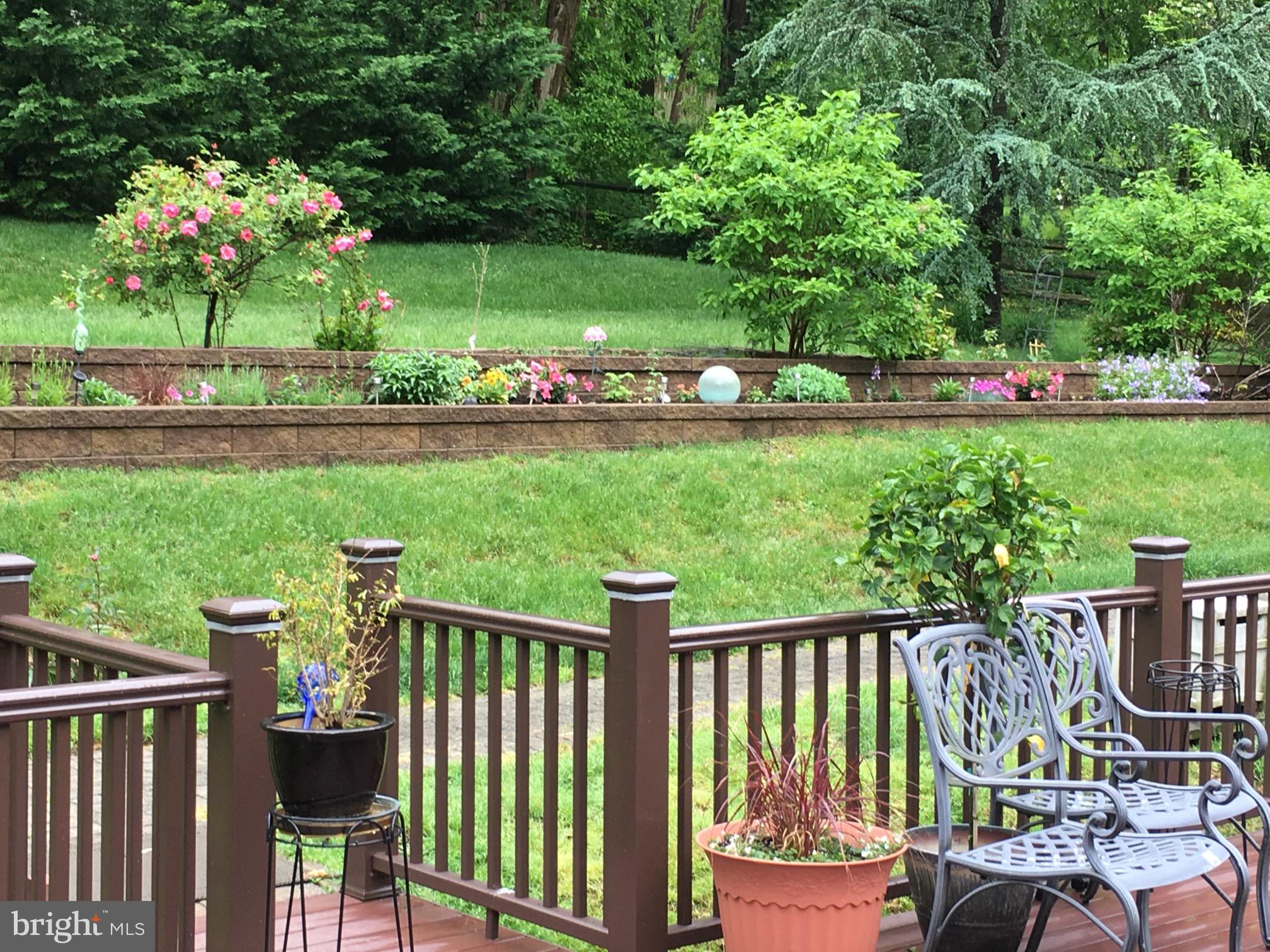 837 Old State Road Berwyn, PA 19312 - Photo 21 of 24 spring/summer