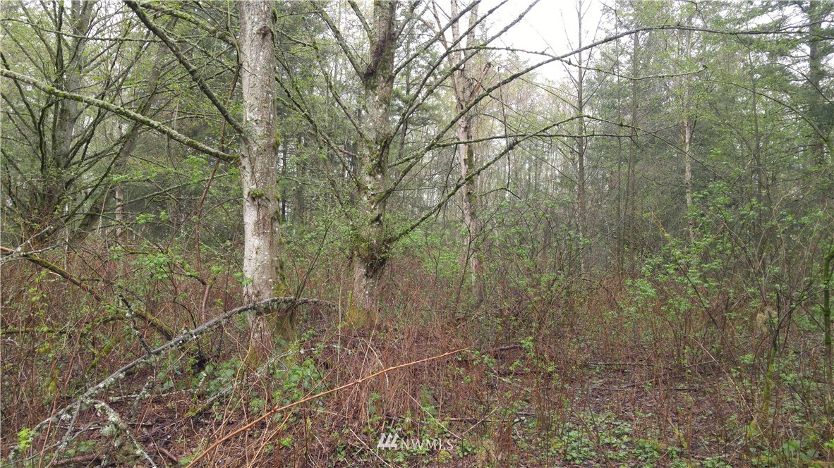 0 Valley View Road Ferndale, WA 98248 - Photo 14 of 17