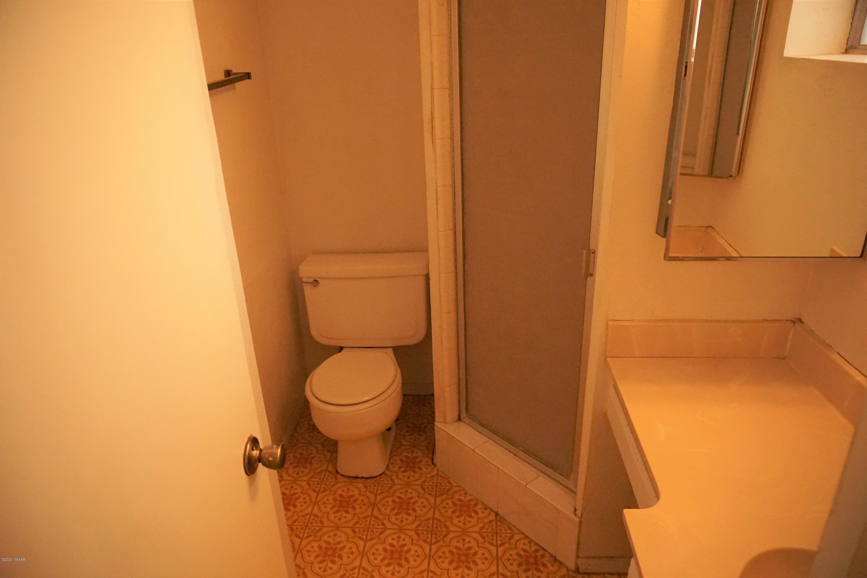 1110 7th West St. Johns, AZ 85936 - Photo 25 of 34 a bathroom with a toilet and a shower