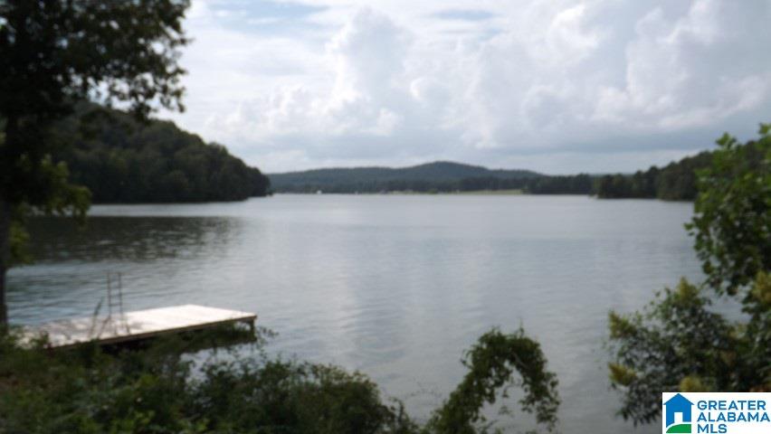 155 Lock 1 Road Ashville, AL 35953 - Photo 16 of 50