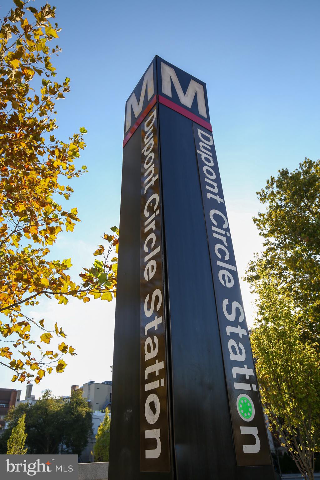 1641 V Street Northwest Washington, DC 20009 - Photo 36 of 36 a view of a painting of a tree