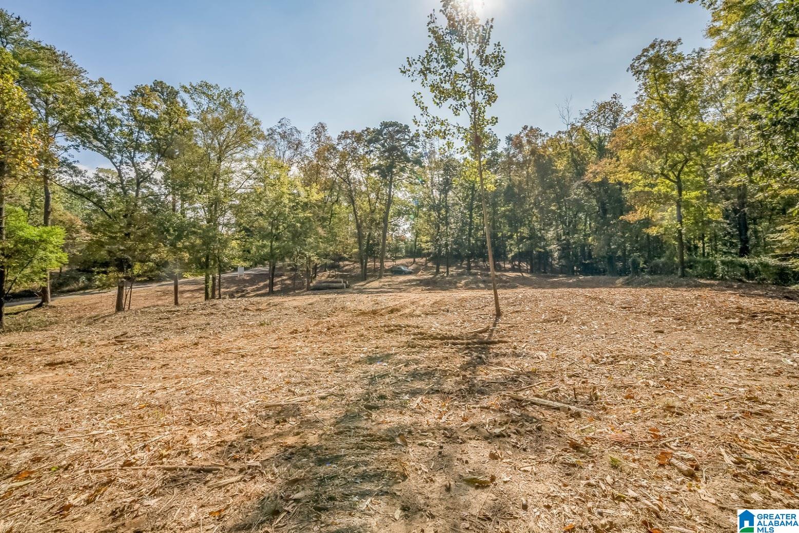 3300 Sherwood Road Birmingham, AL 35223 - Photo 14 of 16