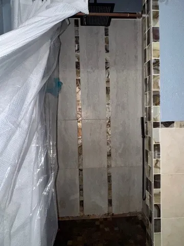 a bathroom with a shower and a mirror