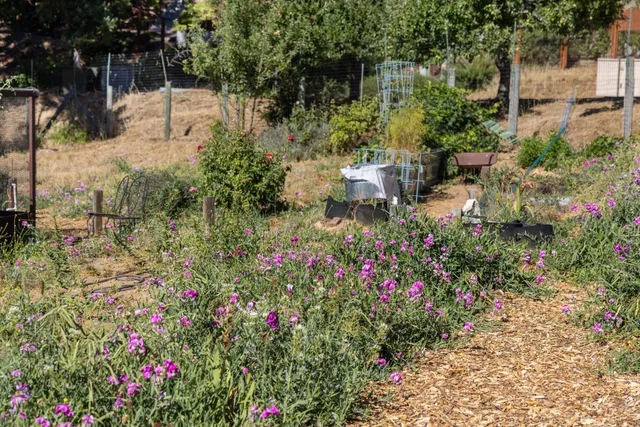 $1,298,888 | 19156 Old Vineyard Road, Los Gatos, CA 95033