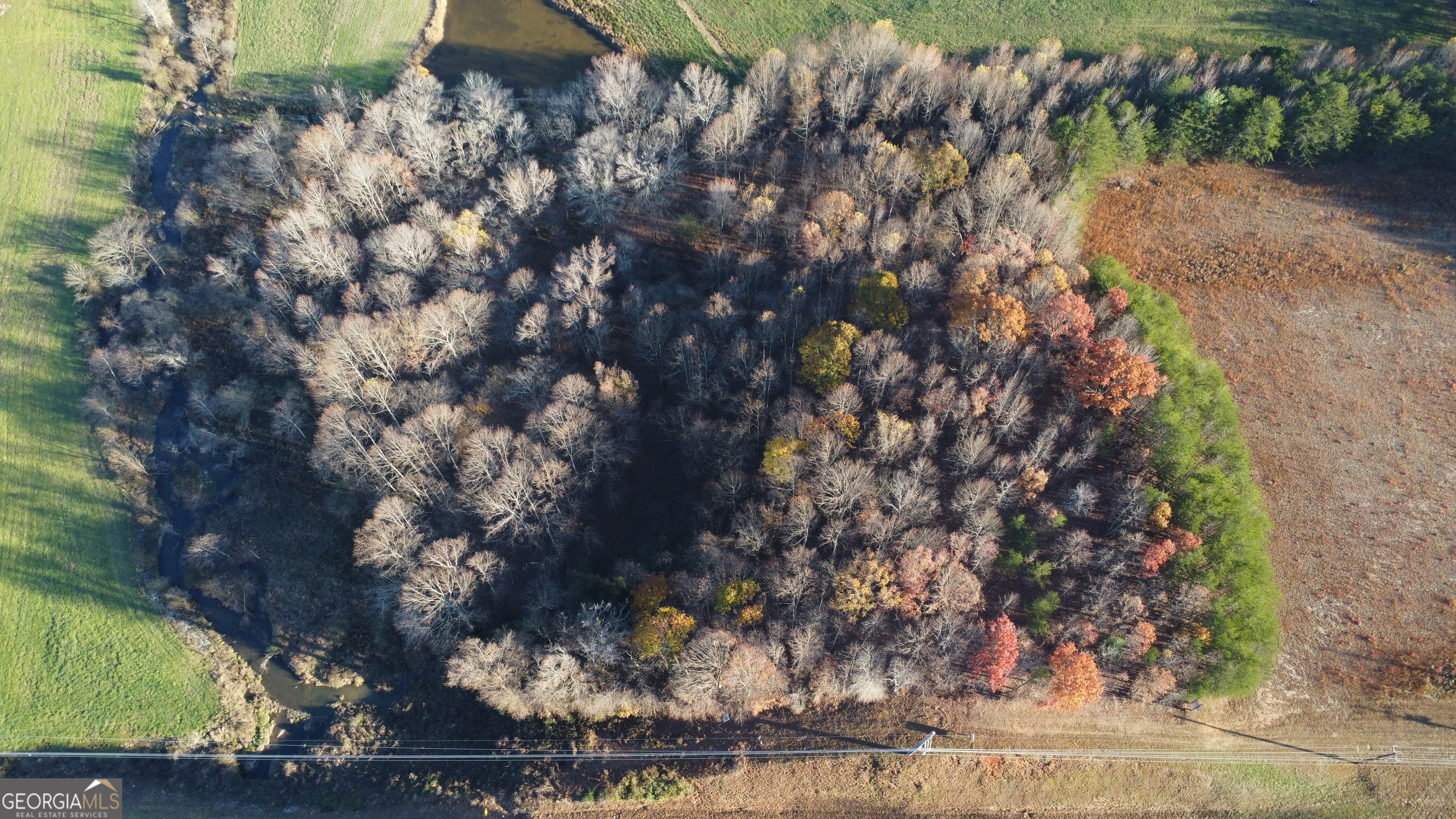 0 Helen Highway Cleveland, GA 30528 - Photo 3 of 12 a view of a yard
