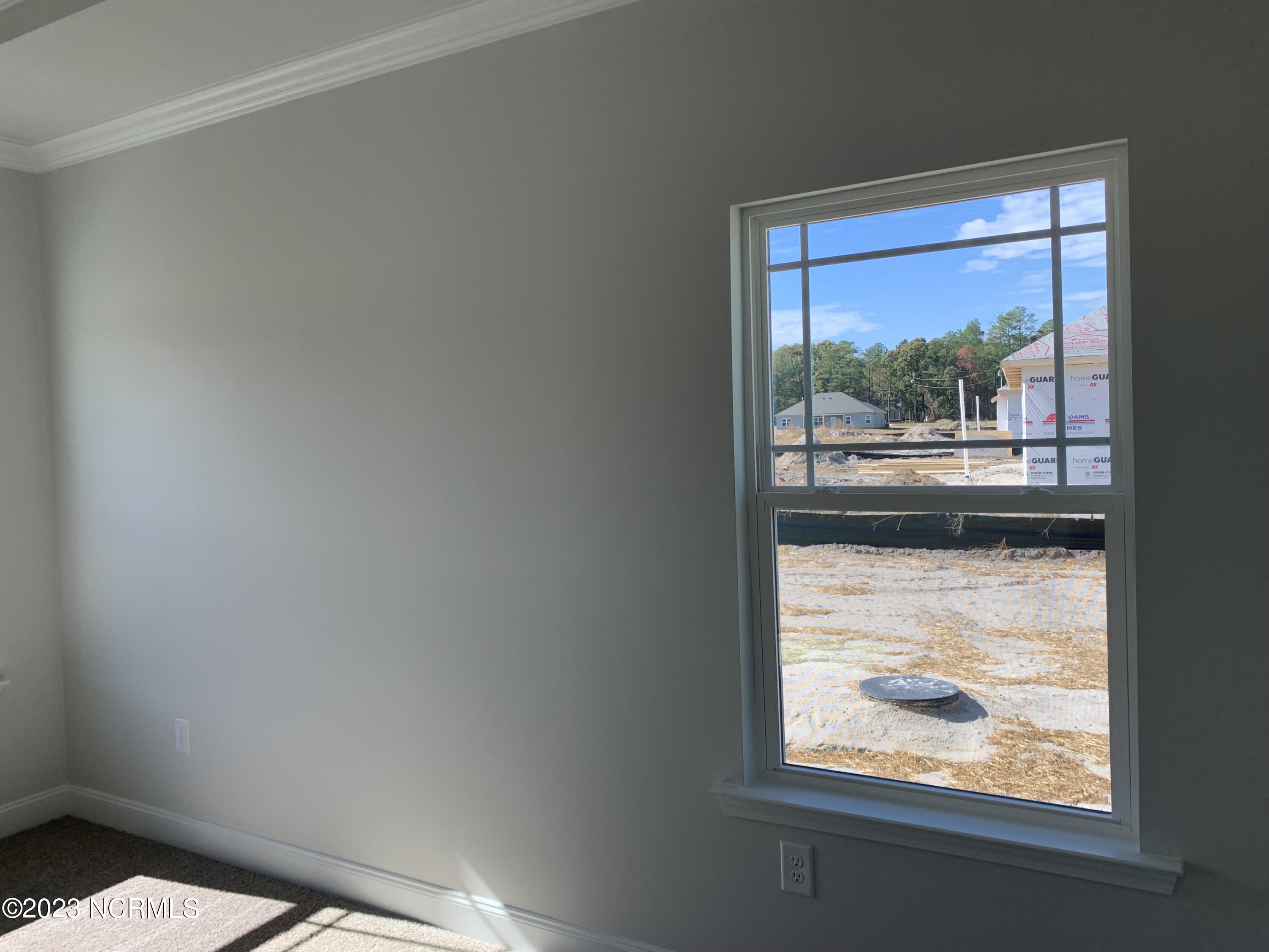 8524 Shallow Crk Trail, Unit 186 Bailey, NC 27807 - Photo 13 of 24 Bedroom