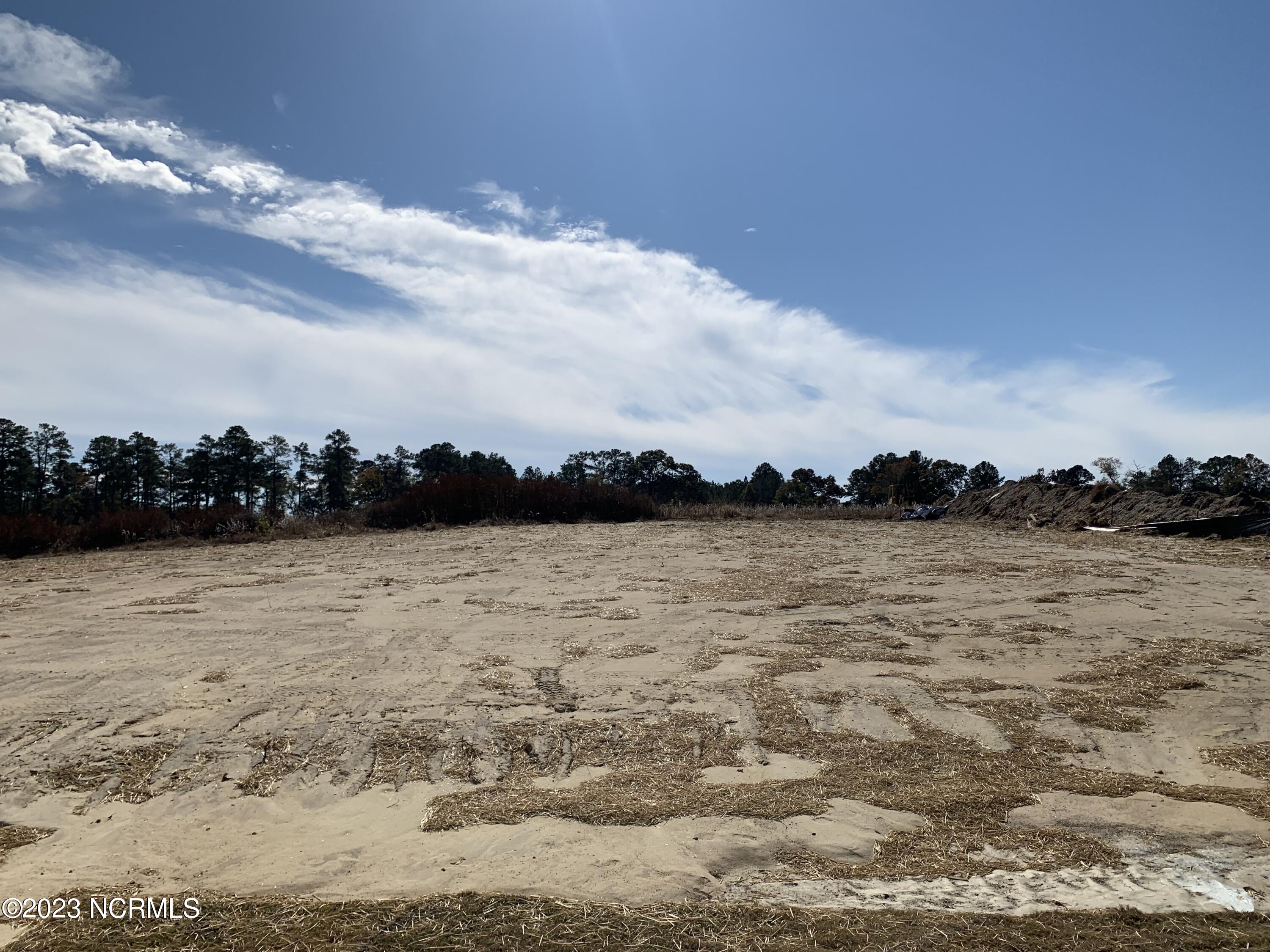 8524 Shallow Crk Trail, Unit 186 Bailey, NC 27807 - Photo 20 of 24 Tremendous backyard
