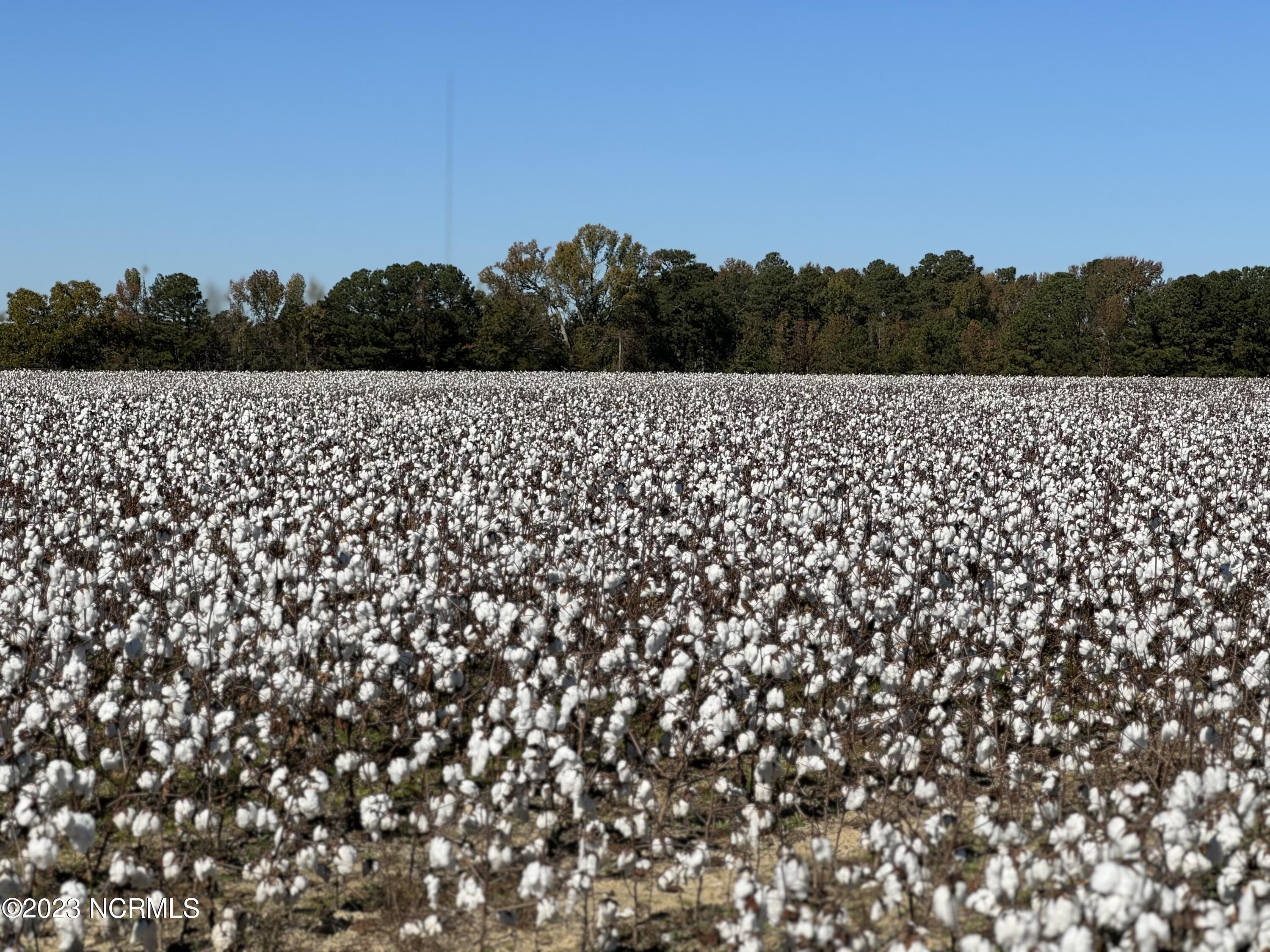 8524 Shallow Crk Trail, Unit 186 Bailey, NC 27807 - Photo 23 of 24 Lifestyle 2