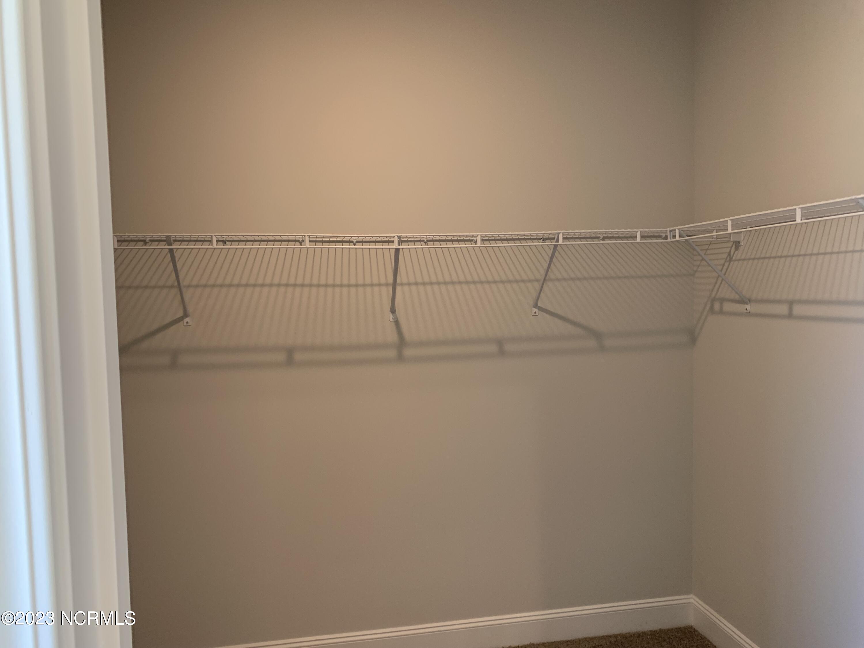 8524 Shallow Crk Trail, Unit 186 Bailey, NC 27807 - Photo 10 of 24 Primary Closet