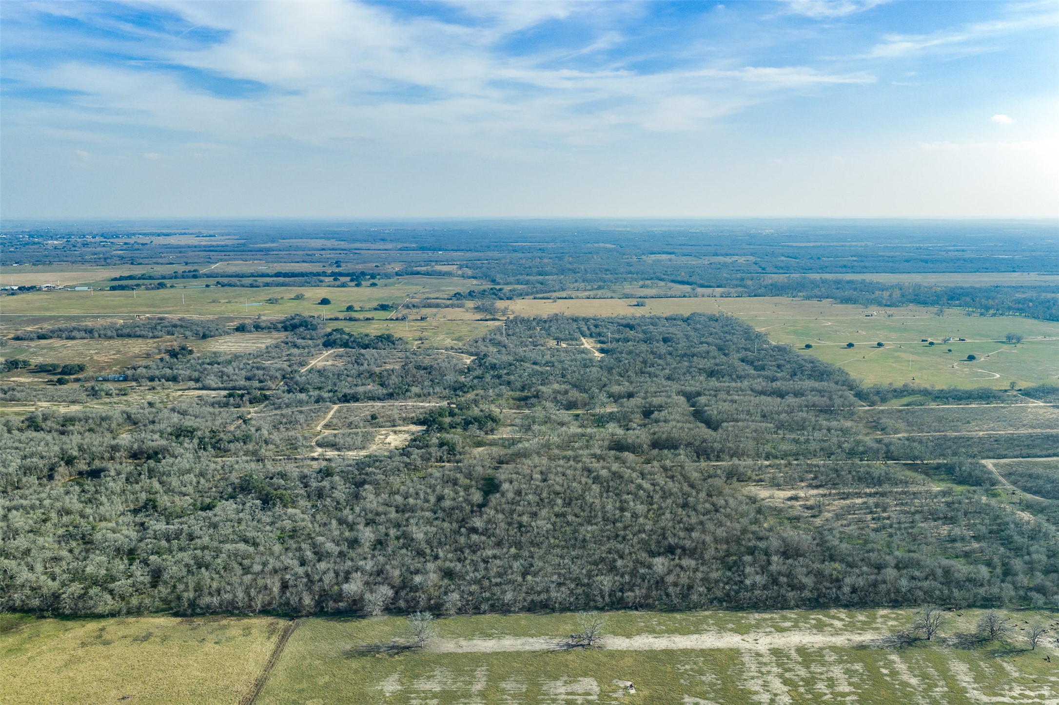 1144 Treetop Lane Luling, TX 78648 - Photo 16 of 31 Aerial view of sparsely populated area