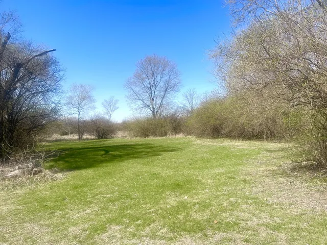 $39,000 | 0 Johnson Street, Utica, IL 61373