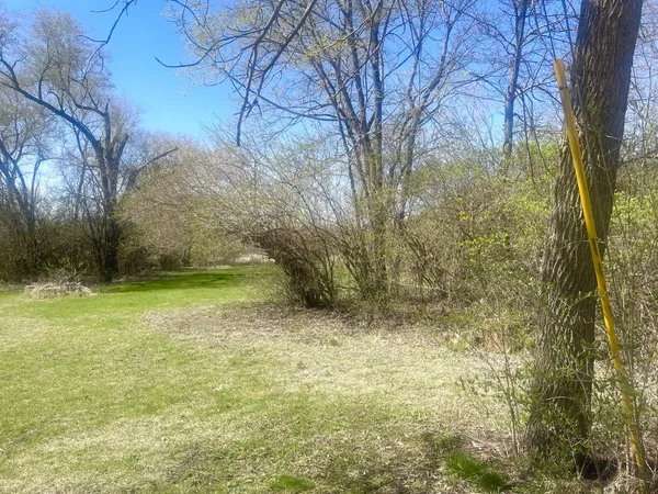 $39,000 | 0 Johnson Street, Utica, IL 61373