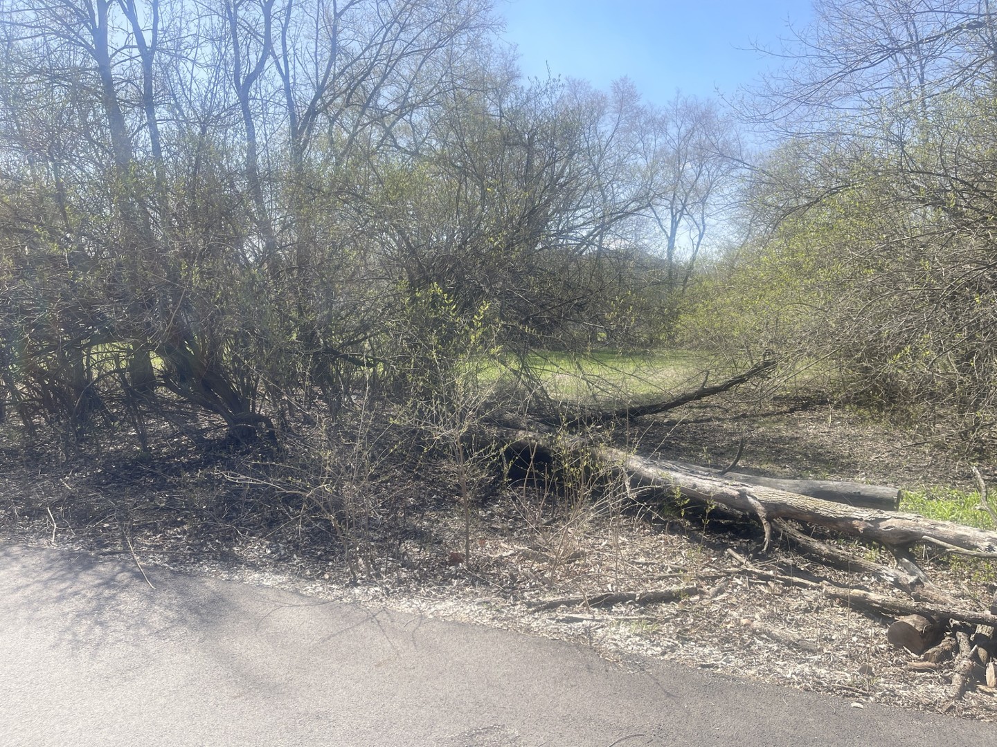 0 Johnson Street Utica, IL 61373 - Photo 3 of 3