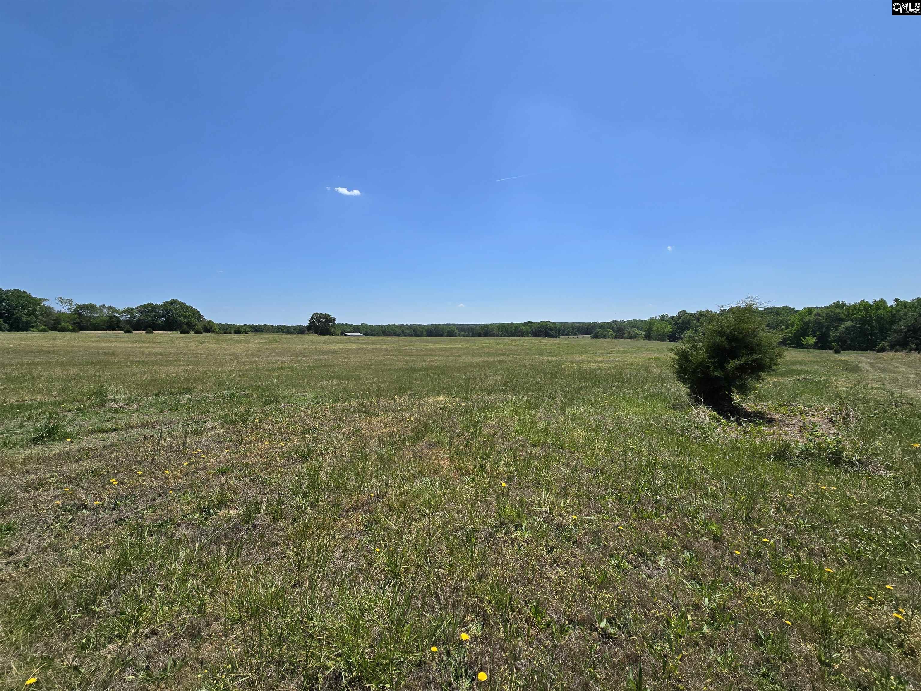 542 Pea Ridge Highway Jonesville, SC 29353 - Photo 21 of 72