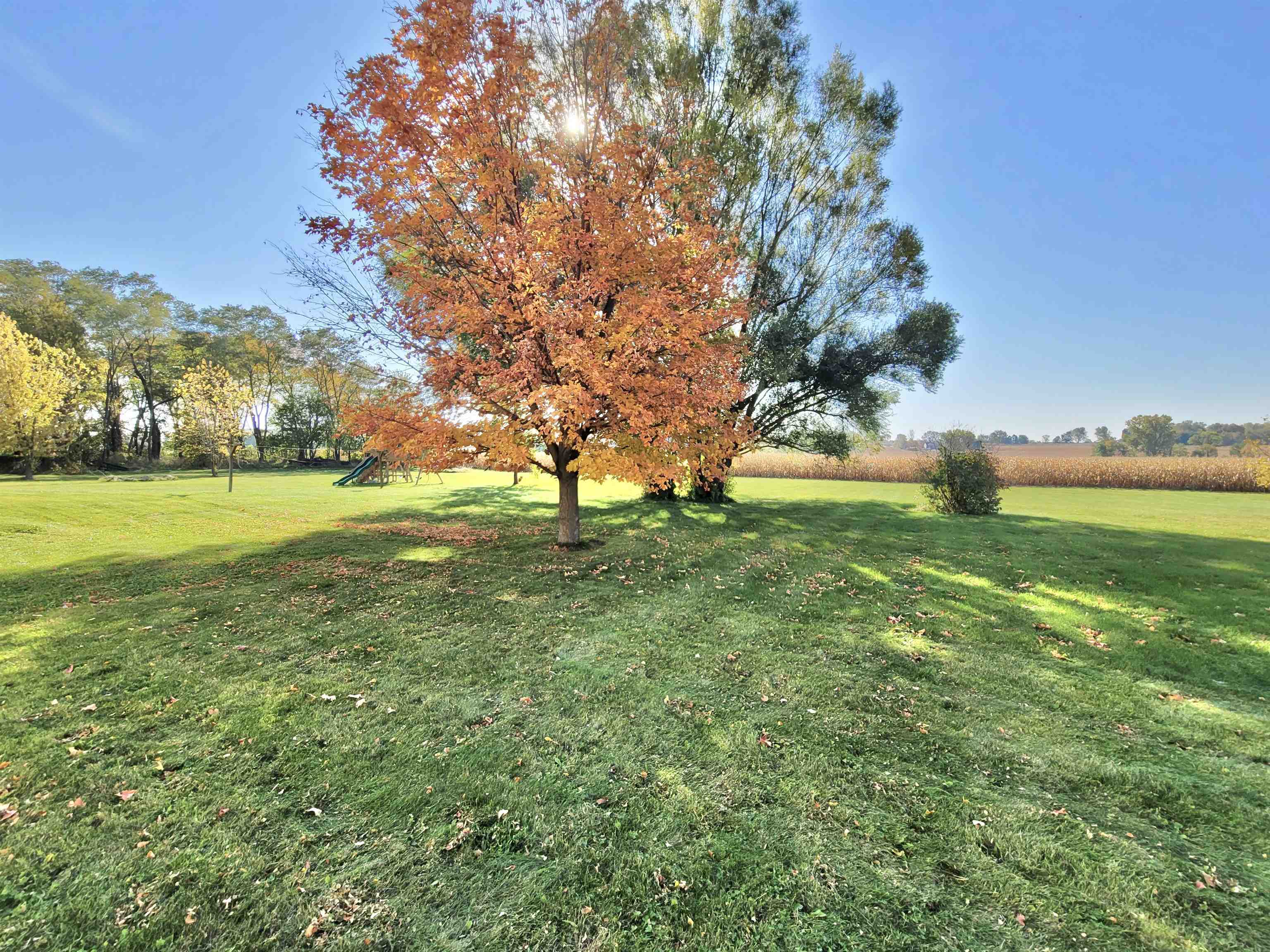 9205 East Scott Road Stillman Valley, IL 61084 - Photo 39 of 43 a view of field with tall trees