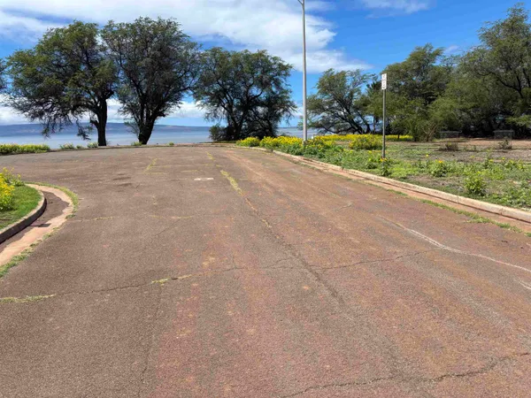 a view of a road with a yard and large trees