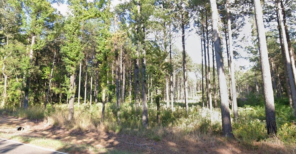 125 Crouch Road Benton, LA 71006 - Photo 3 of 4 View of land from road