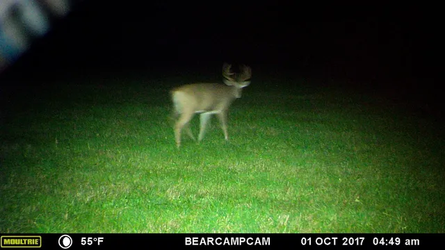 $259,900 | Tbd Tbd Sage Drive Northwest, Backus, MN 56435