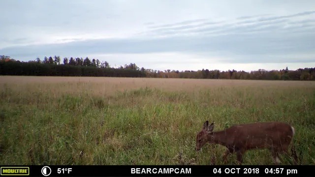 $259,900 | Tbd Tbd Sage Drive Northwest, Backus, MN 56435