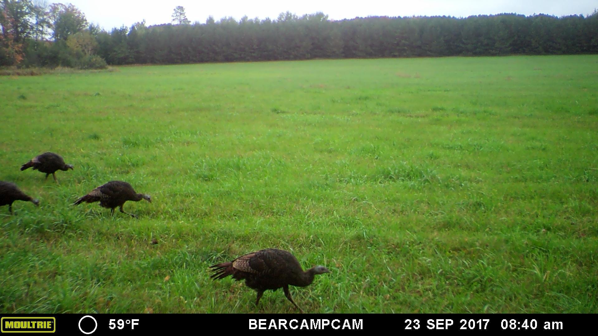 Tbd Tbd Sage Drive Northwest Backus, MN 56435 - Photo 6 of 15